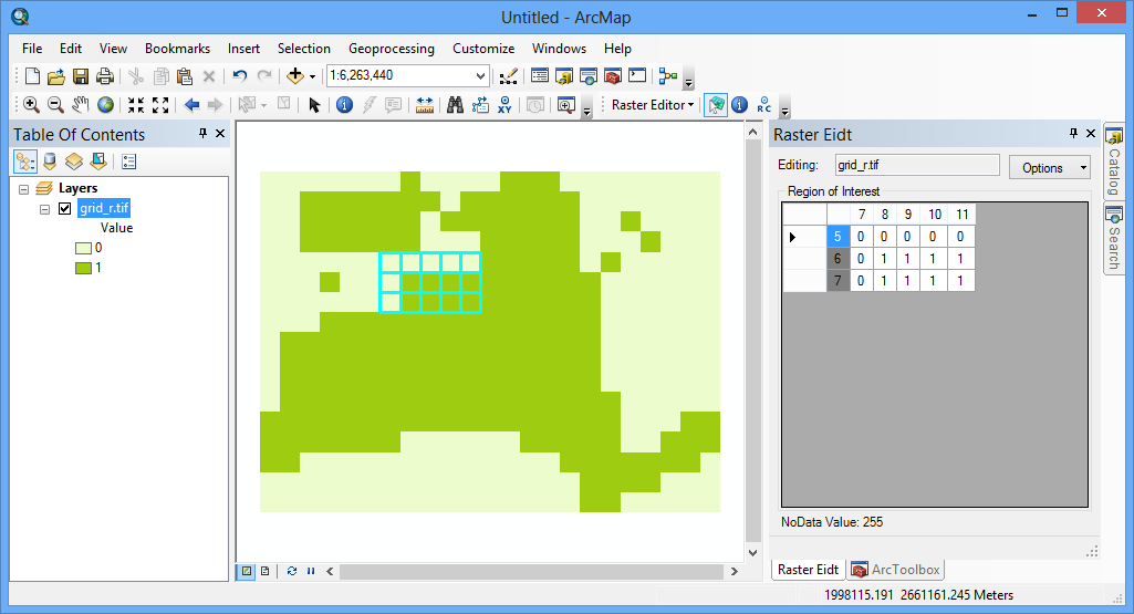 Editing single pixels of raster layer in ArcMap with just a few clicks ...